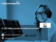 IT SAP EWM Consultant Industrie (m/w/d) - Neckarsulm