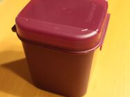 Tupperbehälter 1,2 Liter mit Klappdeckel - Farbe dunkellila - Springe