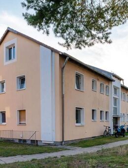 Moderne Singlewohnung mit Laminatboden und Tageslichtbad! - Celle