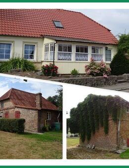 Sanierungsbedürftiges EFH mit massiven Nebengelässen! - Altenkirchen (Mecklenburg-Vorpommern)
