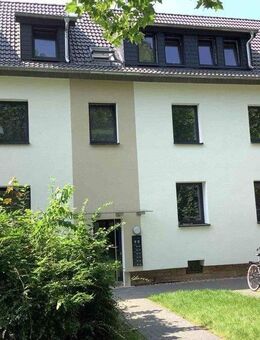 Frisch renovierte Erdgeschosswohnung! - Osnabrück