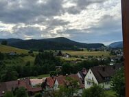 Helle und weitläufige Wohnung mit beeindruckender Aussicht - Baiersbronn