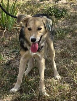 Sozialer OLI ist ein junger Schatz ♥️ - München