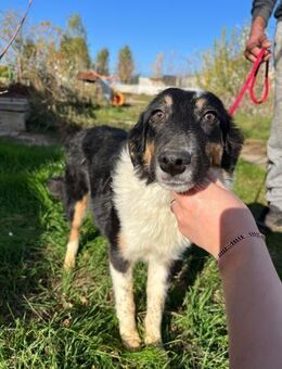 Hier kommt Finja - Siggelkow