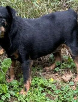 REENA -das kommt jetzt ins Gleichgewicht - Overath