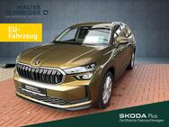 Skoda Kodiaq, 2.0 TDI 150 Selection, Jahr 2024 - Siegen (Universitätsstadt)