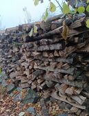 Brennholz Ahorn und Esche in 86447