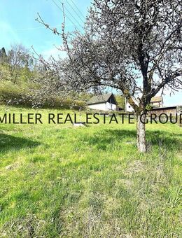 Grundstücksfläche 1.745 qm! Idyllisches Einfamilienhaus mit weitläufigem Garten! - Wilhelmsthal