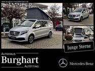 Mercedes V 220, d Marco Polo EDITION, Jahr 2023 - Altötting