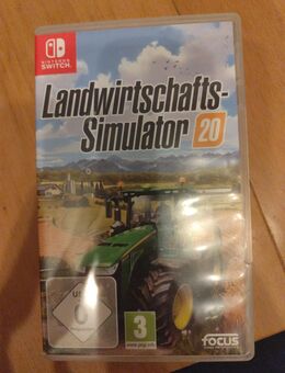 Nintendo Switch Spiel - Mühlhausen (Regierungsbezirk Mittelfranken)