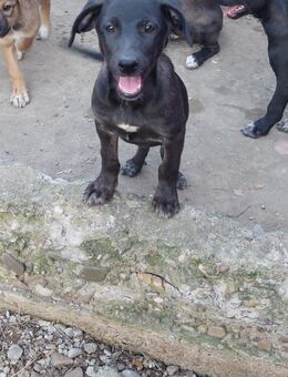 Ulla wartet auf ihr Glück - Celle