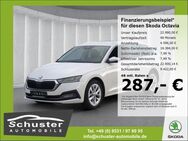 Skoda Octavia Combi Style TDI*DSG ACC R-Kam Head-Up - Ruhstorf (Rott)