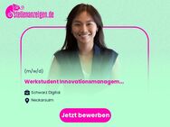 Werkstudent Innovationsmanagement (m/w/d) - Neckarsulm