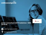 Junior Consultant SAP Produktion / MES (w/m/d) - Georgsmarienhütte