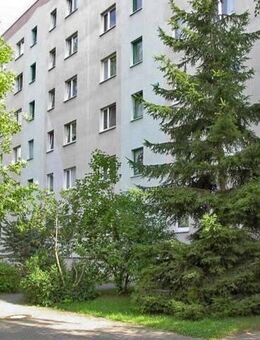 Willkommen in den neuen 4 Wohlfühlwänden - Magdeburg