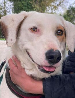 Tolle Milva wartet in Wuppertal - Mettmann