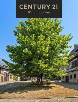 Exklusive Chance - Leben in einem Schloss! - Neustadt (Aisch)