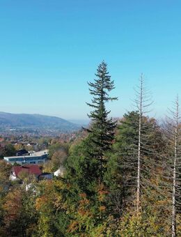 Penthouse-Wohnung mit 3 Zimmern, Bad en suite, Ankleide und Gäste-Dusche - Bad Harzburg