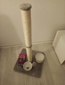 Kratzstamm, 2 Naepfe und Leckerlies für Katzen - Berlin