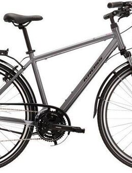 Kross Trekkingrad KROSS Trekkingrad Trans 1.0 28" grau, 21 Gang Shimano ALTUS M310 Schaltwerk, Kettenschaltung