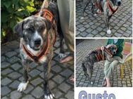 GUSTO -sportlich & menschenbezogen- - Duisburg