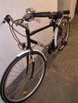 Fahrrad Herren - München Untergiesing-Harlaching