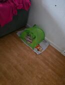 Katzen Höhle in 39112