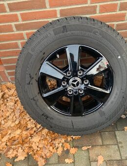 Ganzjahresräder 225/75 r16 CP - Neuenkirchen (bei Greifswald)