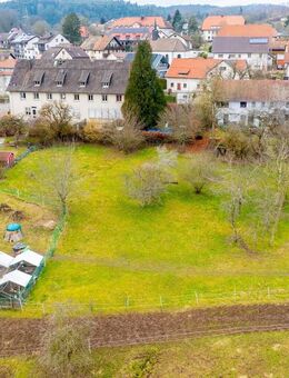Naturliebhaber aufgepasst! - Wohnhaus mit Einliegerwohnung, ca. 3.200 m² inkl. Bauplatz - Albbruck
