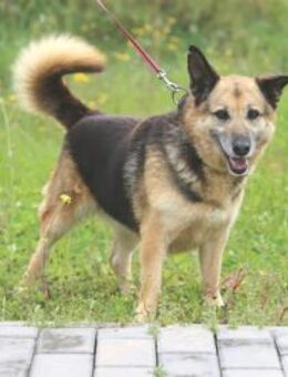 Carlota sucht ruhige geduldige Menschen - Untergruppenbach