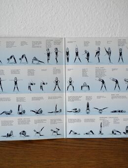 Sydne Rome-Aerobic Fitness Dancing-Vinyl-LP,1983 - Linnich