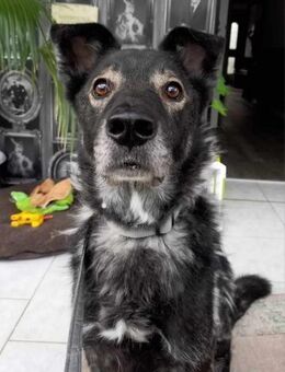 Marlo sucht SEINE MENSCHEN - München