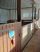 Freie Box-Stall frei-Pferdeboxen-Pferde Stall in 36151