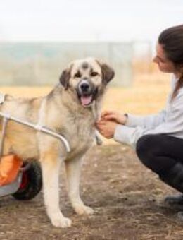 Lotte hofft auf Inklusion in ein liebevo - München