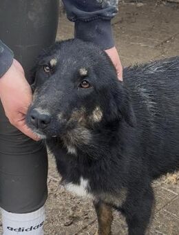 MARIBEL ~ einfach toll + zauberhaft - Duisburg