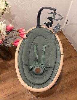 Babyschaukel Cassia Swing Beyond Green Eco - Haibach (Regierungsbezirk Niederbayern)