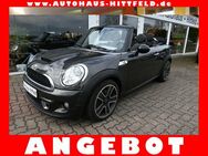 Mini Cooper S Cabrio Klimaaut Leder Bi-Xen PDC 17Alus - Seevetal