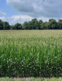 Wohlfühlwohnung mit Loggia am Gröningshof in Dangast - Varel