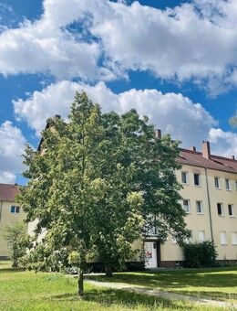 Attraktive Eigentumswohnung *Top Zustand* - Halle (Saale)