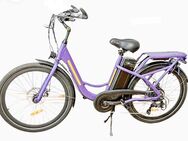 26 Zoll Elektrofahrrad 48V 250W E-Bike NEU - Wasbek