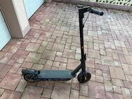 Segway Ninebot MAX G2 D, E Scooter mit Straßenzulassung - Neuwied