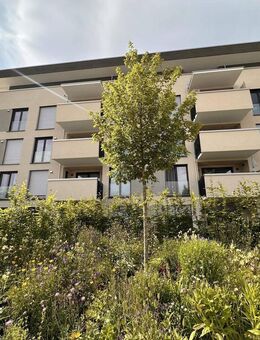 Neuwertige Erdgeschosswohnung mit Garten, TG-Stellplatz und Außenstellplatz in Leutkirch - Leutkirch (Allgäu)