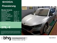 Skoda Octavia, 2.0 TDI Combi Octavia Combi, Jahr 2021 - Freiburg (Breisgau)