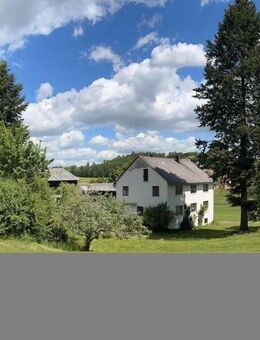 Bauernhaus mit kleinem Wald, mit Stall, mit Land.. - Höchstädt (Fichtelgebirge)