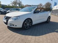 VW Eos 1.4 White Night GARANTIE LEDER KLIMATRONIC - Essen