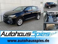 Opel Grandland X 1.2 Turbo Edition RKam TotwAss CarPlay Tmat Alu17 EU6d-T - Heilbronn