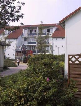 Helle 3-Zimmer-Wohnung mit Balkon - Delmenhorst