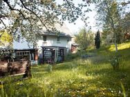 Ruhige Lage am Waldrand – Modernisiertes Einfamilienhaus in Löbichau zu verkaufen - Löbichau