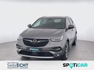 Opel Grandland X, 2.0 Business D, Jahr 2020 - Uslar