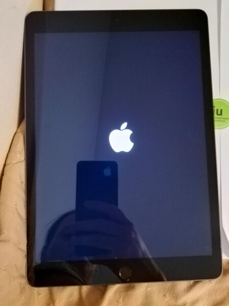 Apple I Pad 9. Generation in Grau 64 GB - Hamburg